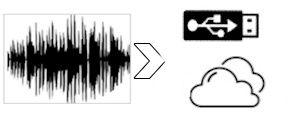 transcript audio
